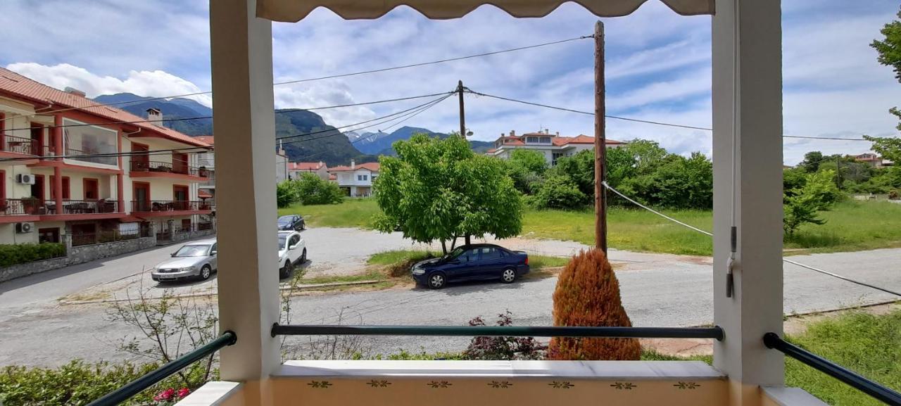 Iliada Apartment Литохоро Номер фото